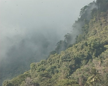  Susan MacWilliam:  Mountain mist , 2002, DVD still; courtesy the artist